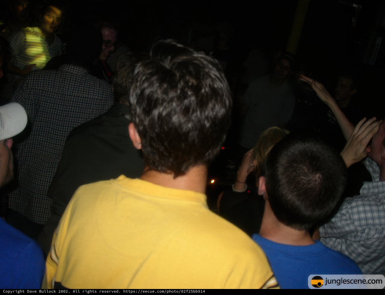 Nightclub Party Goers Convene for Fun Night