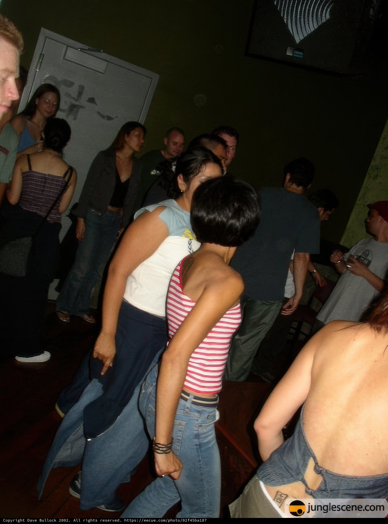 Nightclub Revelry with a Diverse Group
