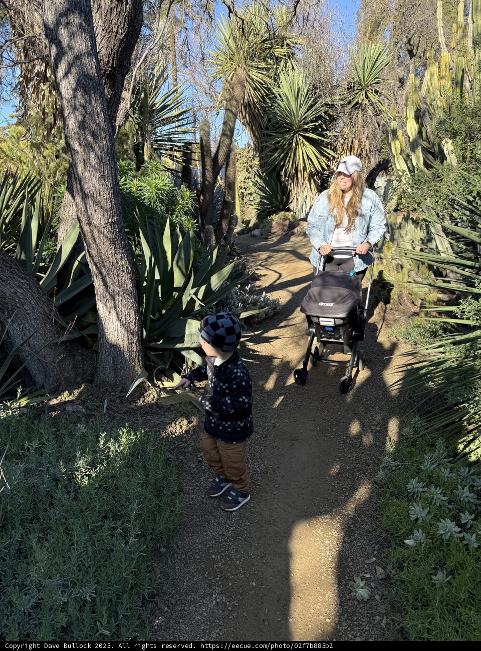 Stroll Through the Succulents