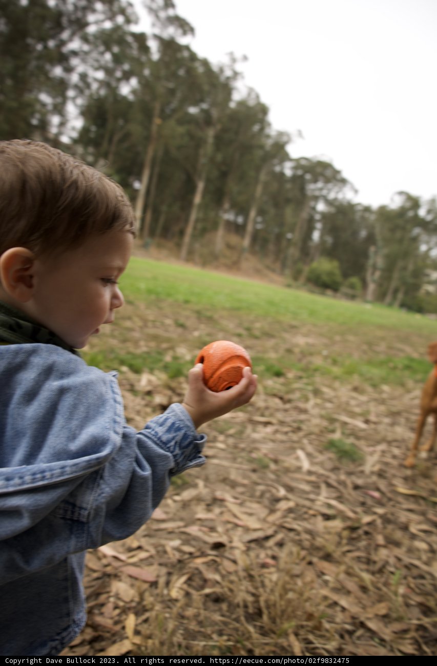 A Day of Play: Wesley's 5th Birthday at Pine Lake Park