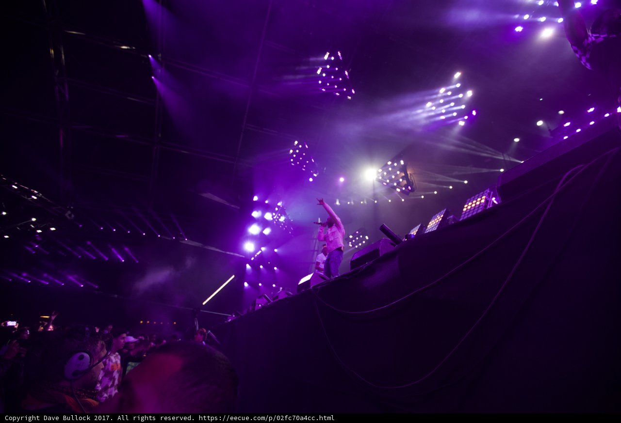 Purple Lights and Rocking Crowds