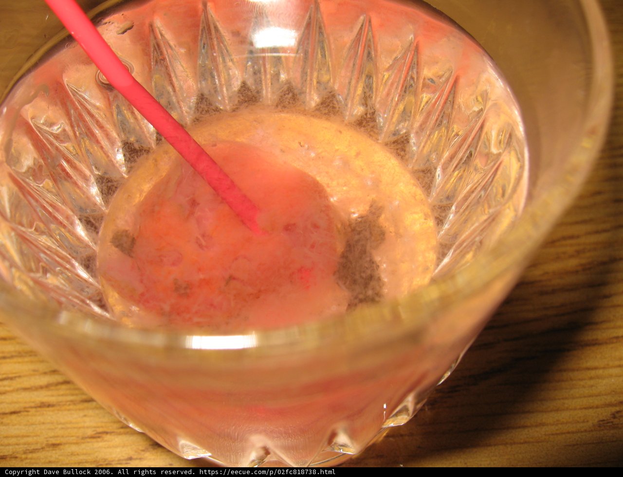 Sipping on a Citrus Cocktail