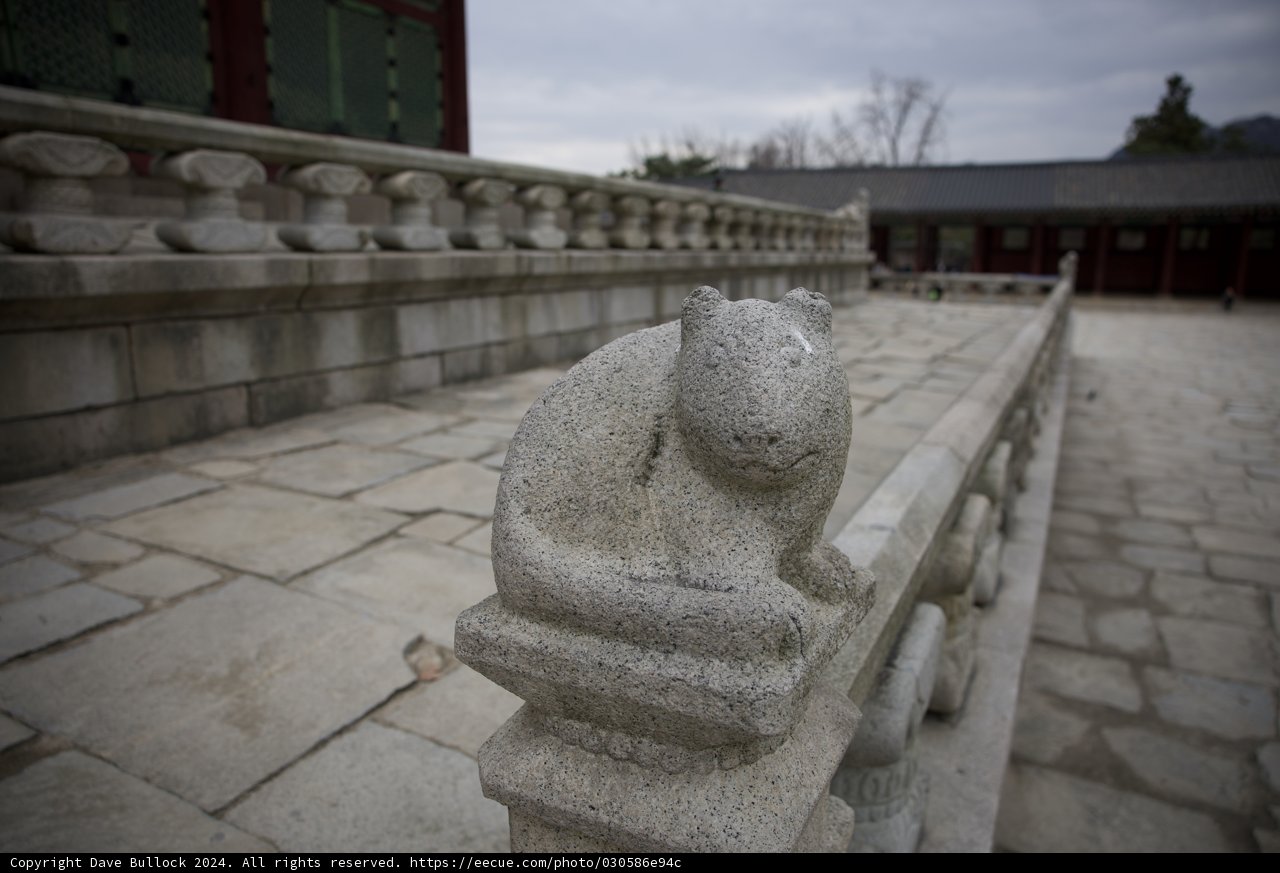 Monastic Feline Sentinel: A Walk through Korean Art
