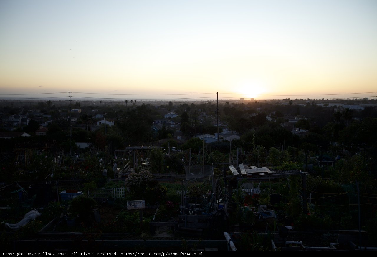 A Sunset View of the City from the Garden