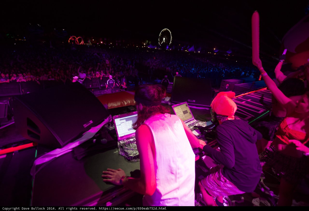 Nightlife Music Maven