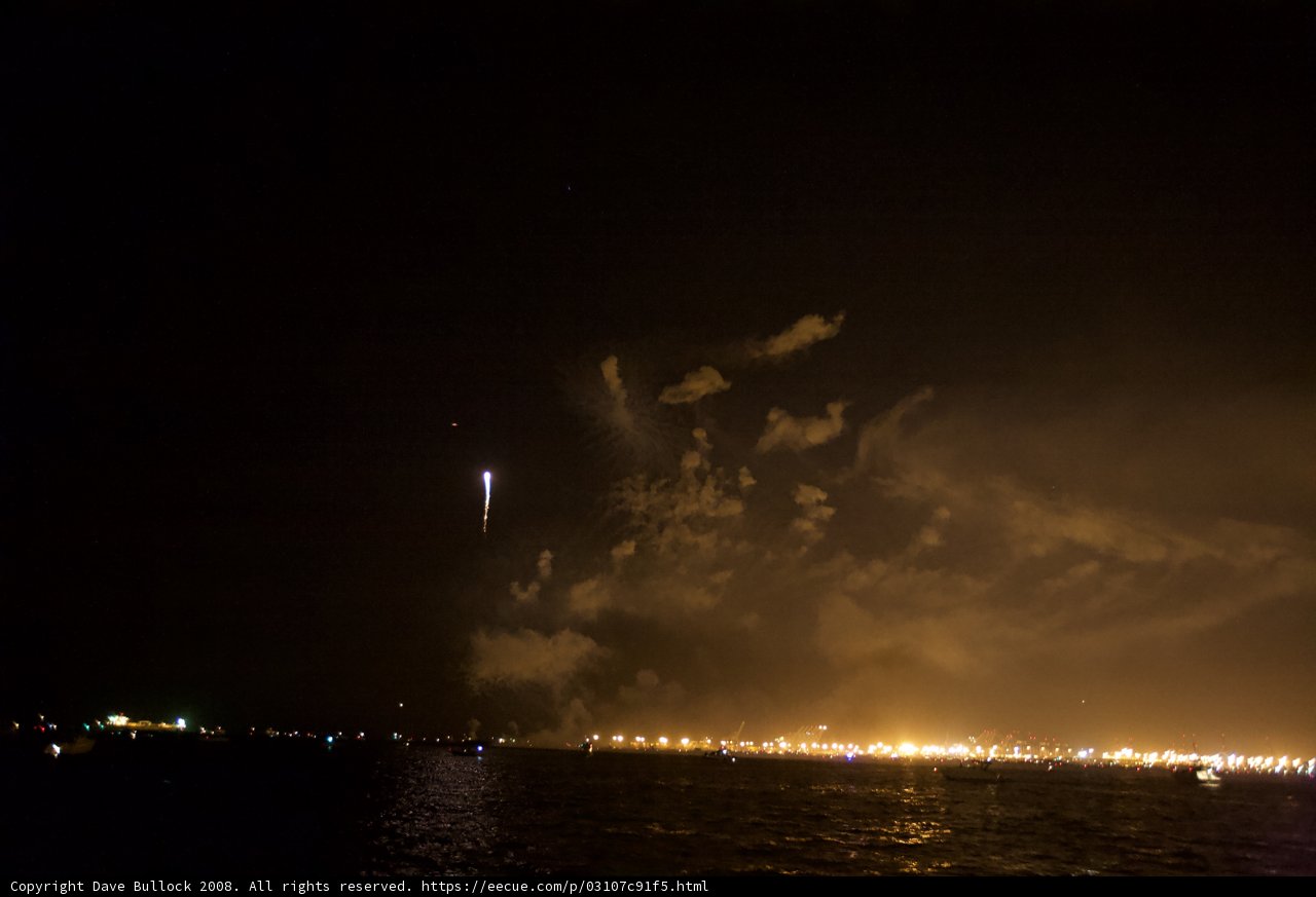 Sea Rocket under the Night Sky