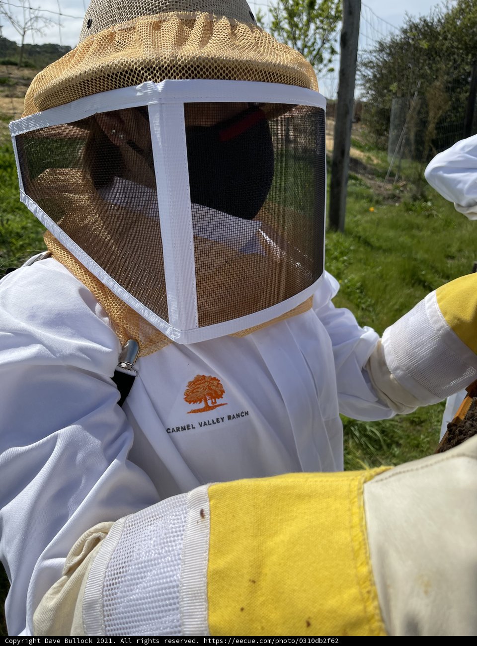 Beekeeping in the California Sun