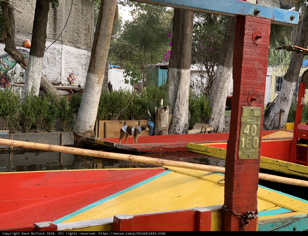 Colorful Boats on a Mexican Canal