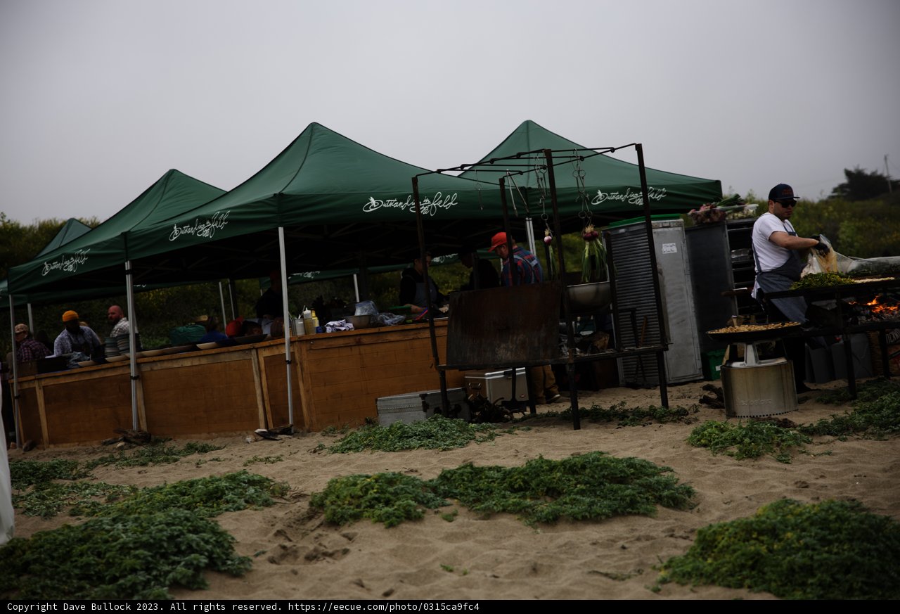 A Feast by the Sea: Pescadero's Secret Beach BBQ
