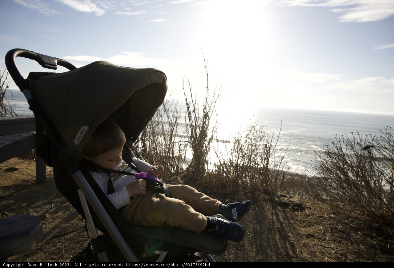 First Encounter with the Sea: Baby Wesley's Ocean Adventure