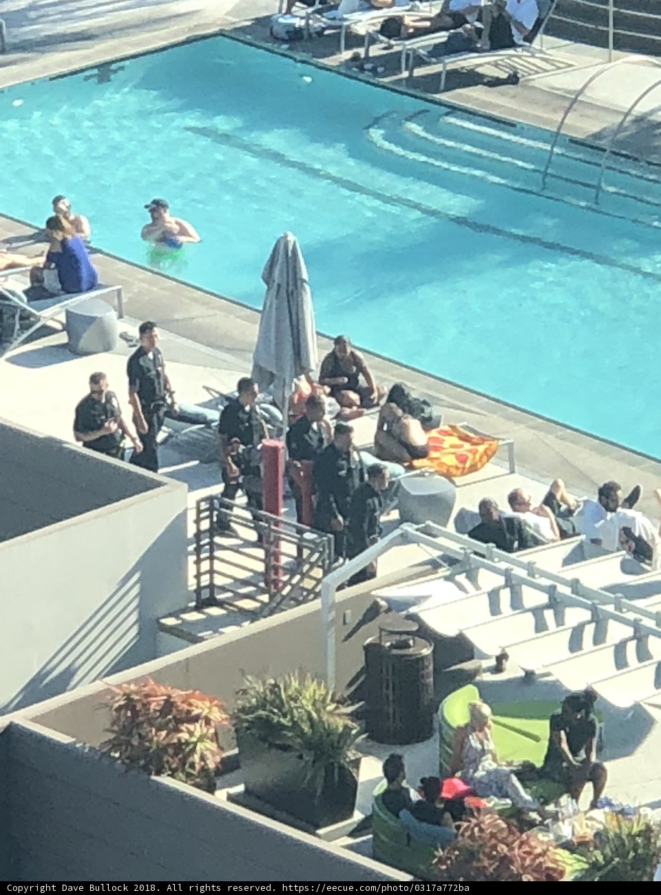 A Dip in the Pool