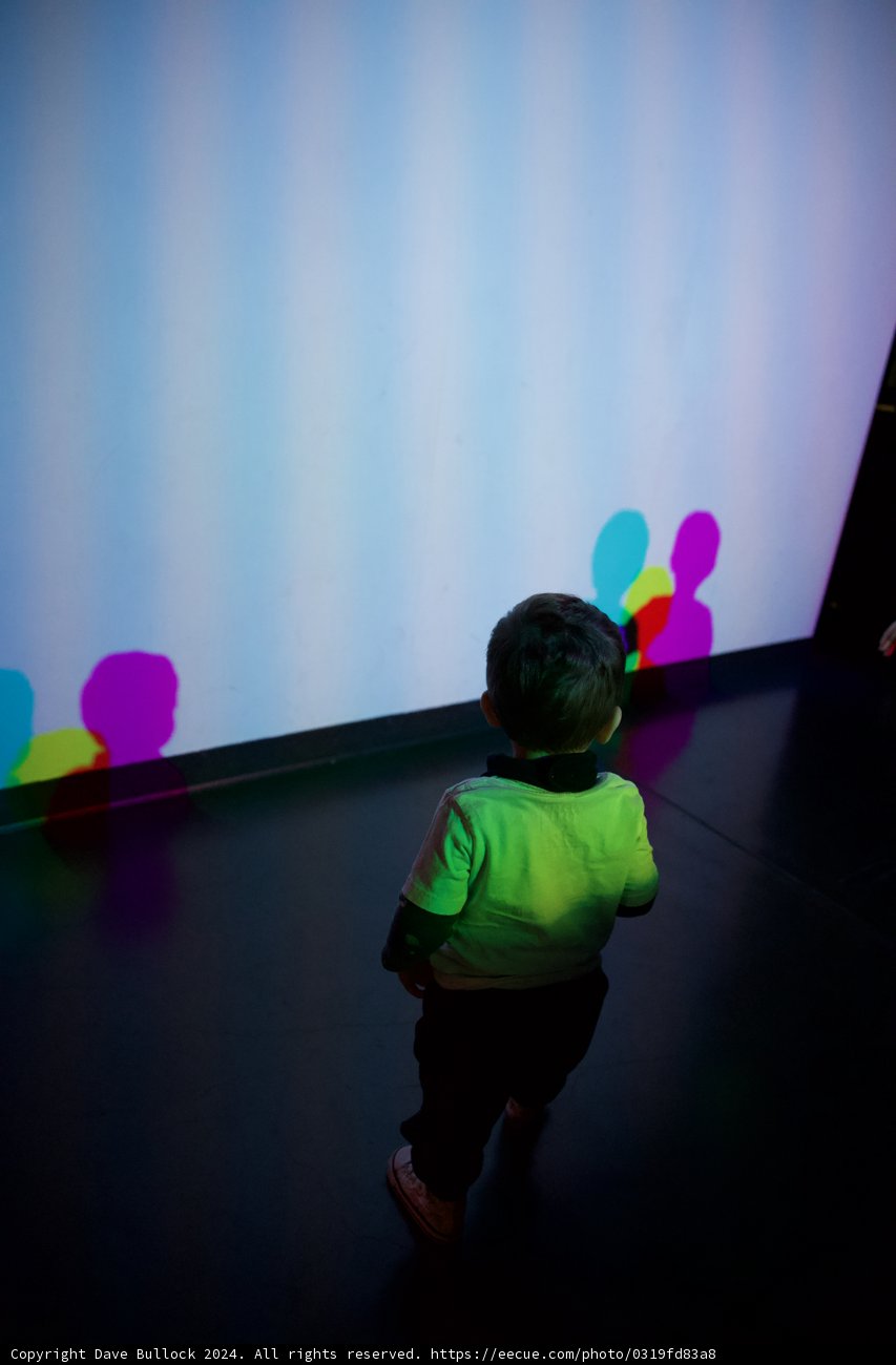 Childhood Curiosity: Exploring the Colorful Universe