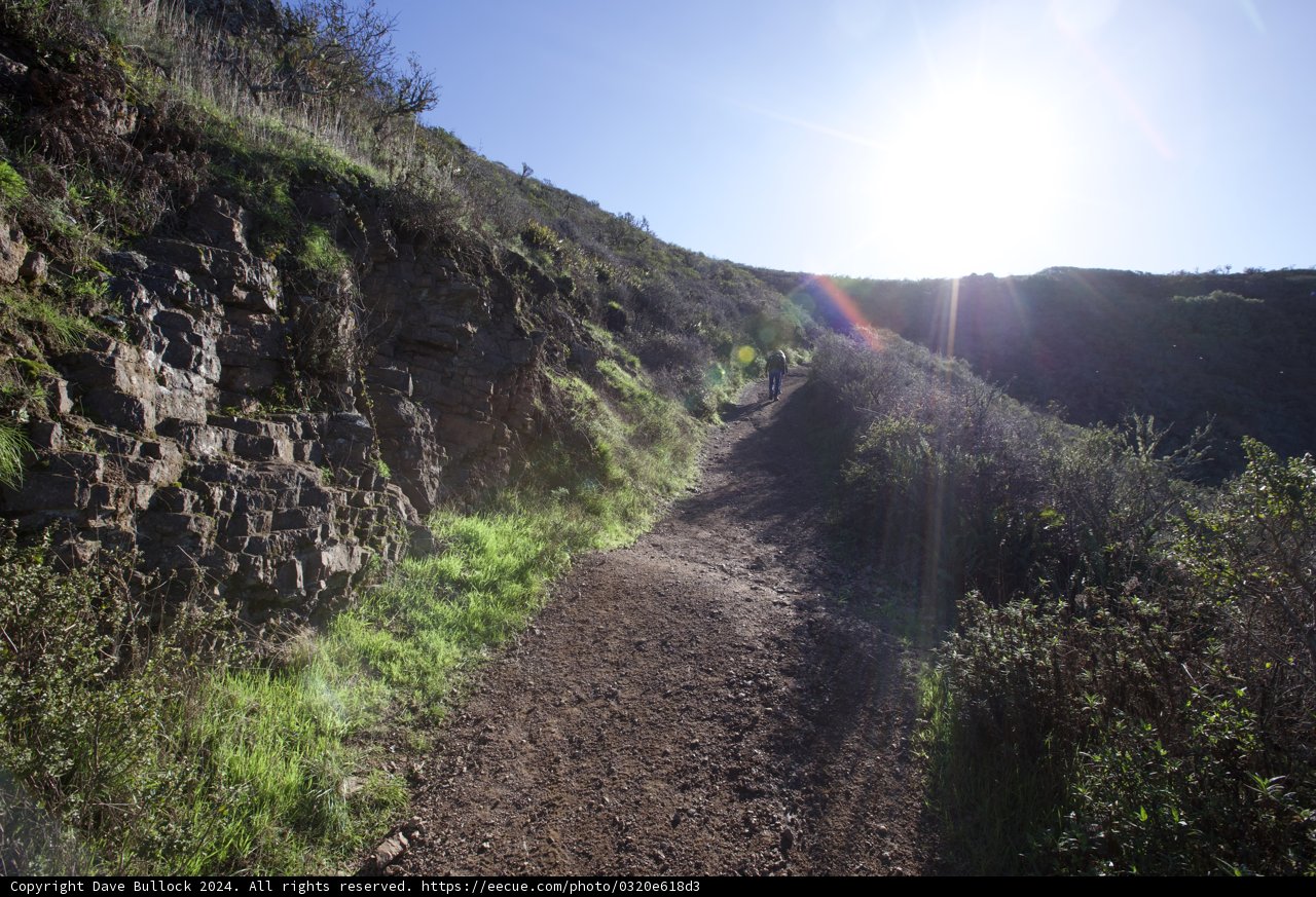 Serenity on Marin Headlands Trail