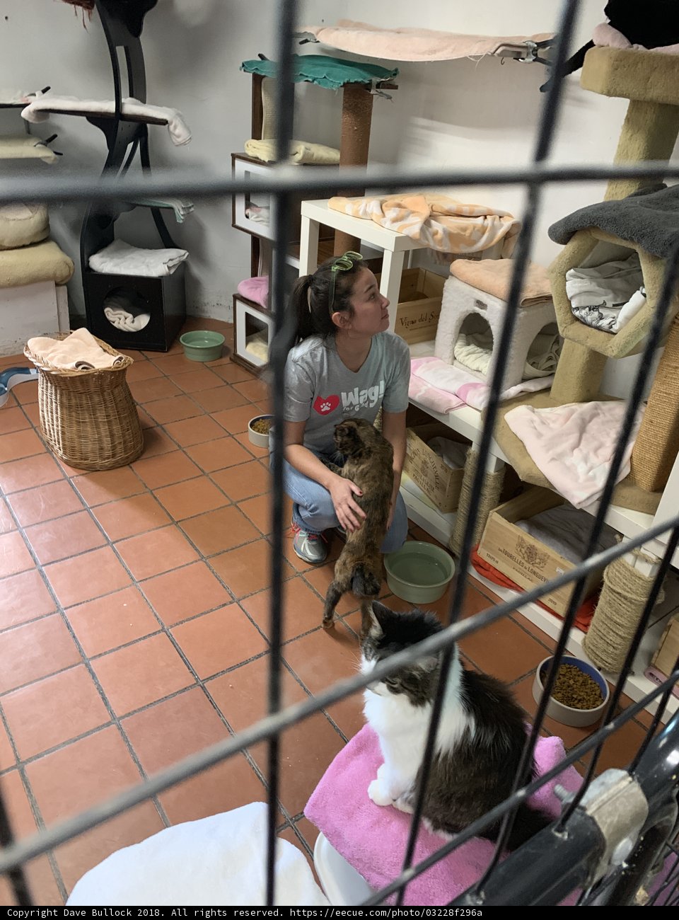 Woman showing love to cat in a cage