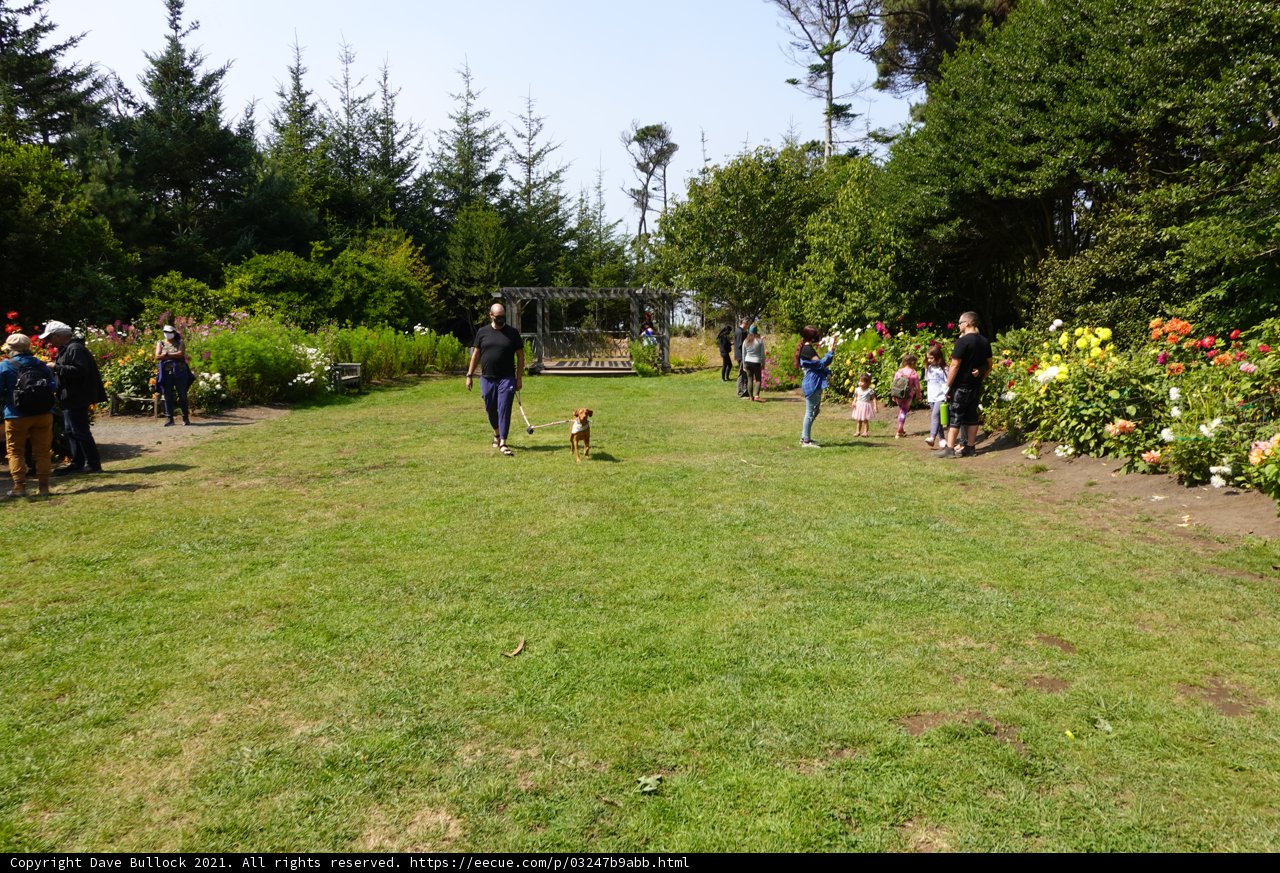 Walking in the Park