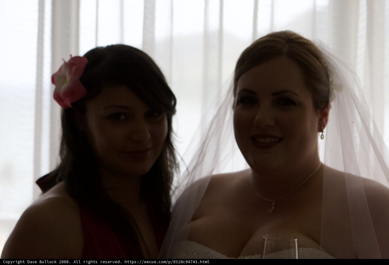 Two Brides in Paradise