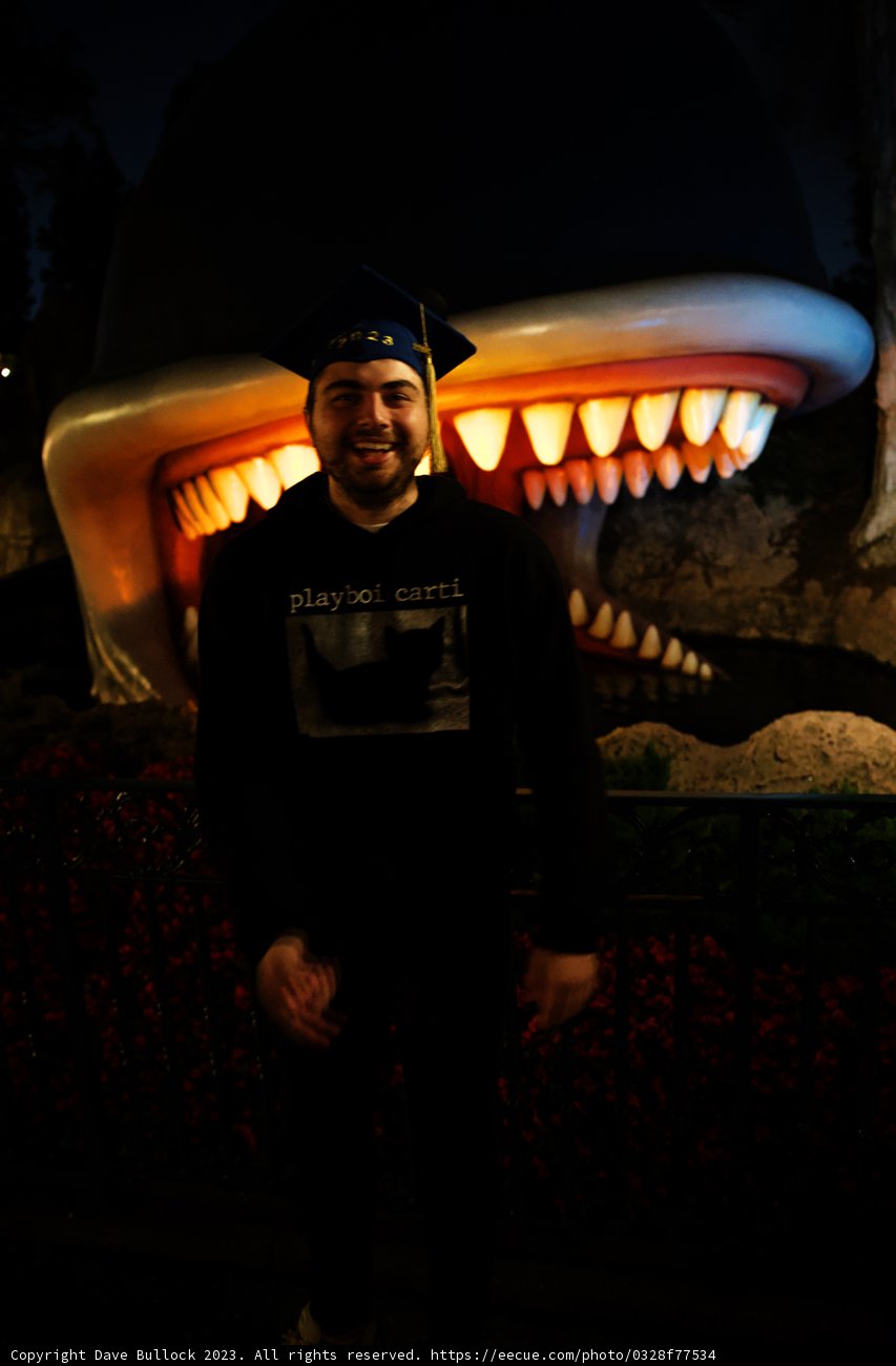 Dare to Face the Giant Shark