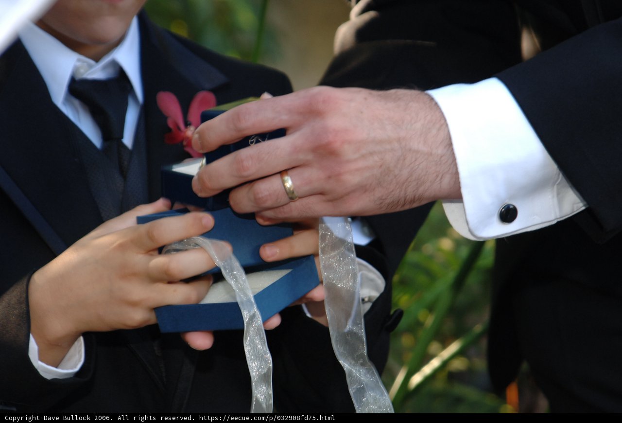 Groom's Finishing Touches