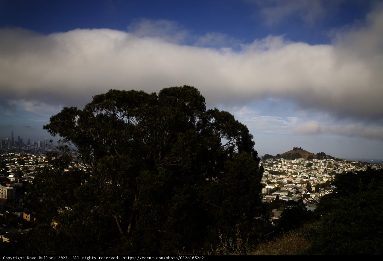 Urban Natural Meld: San Francisco Adventure