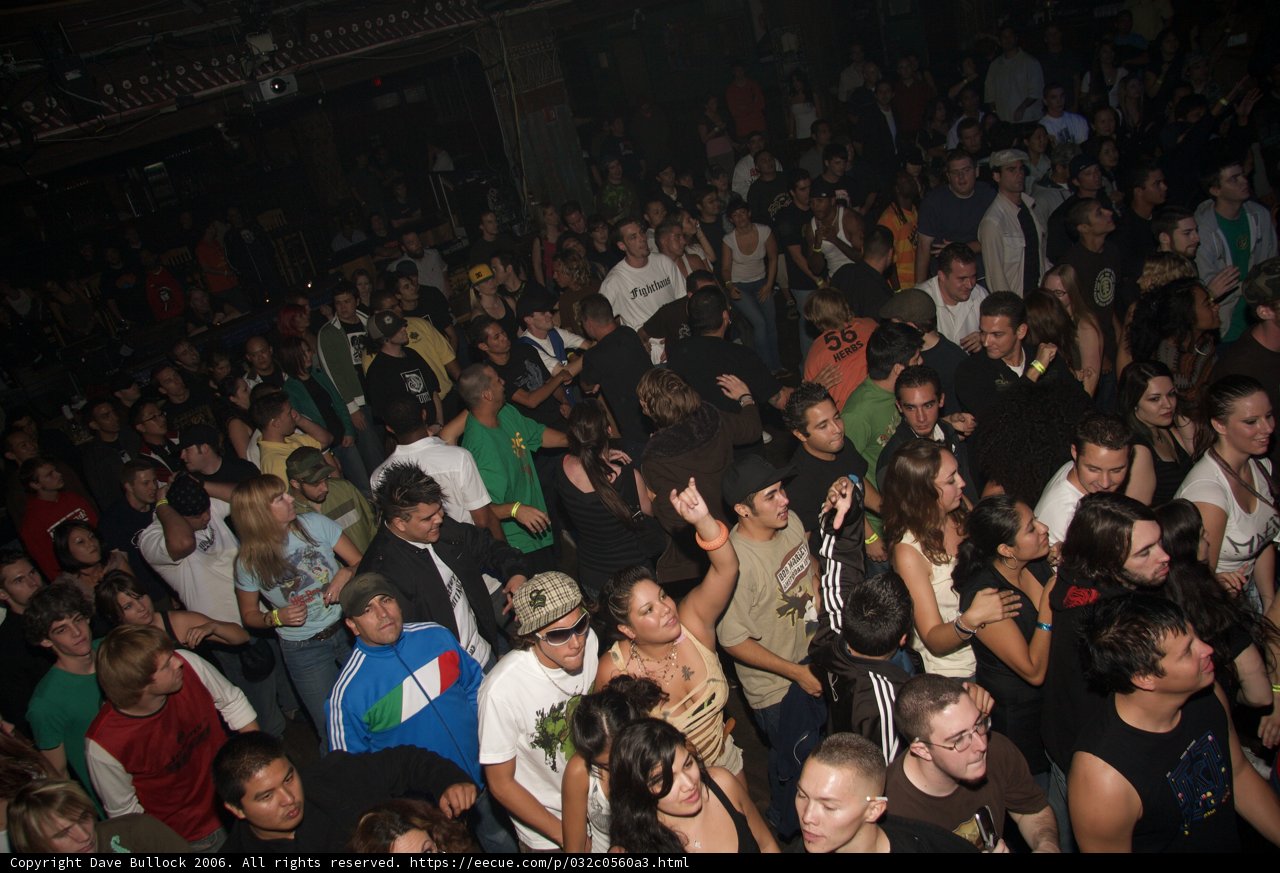 Night Club Bliss
