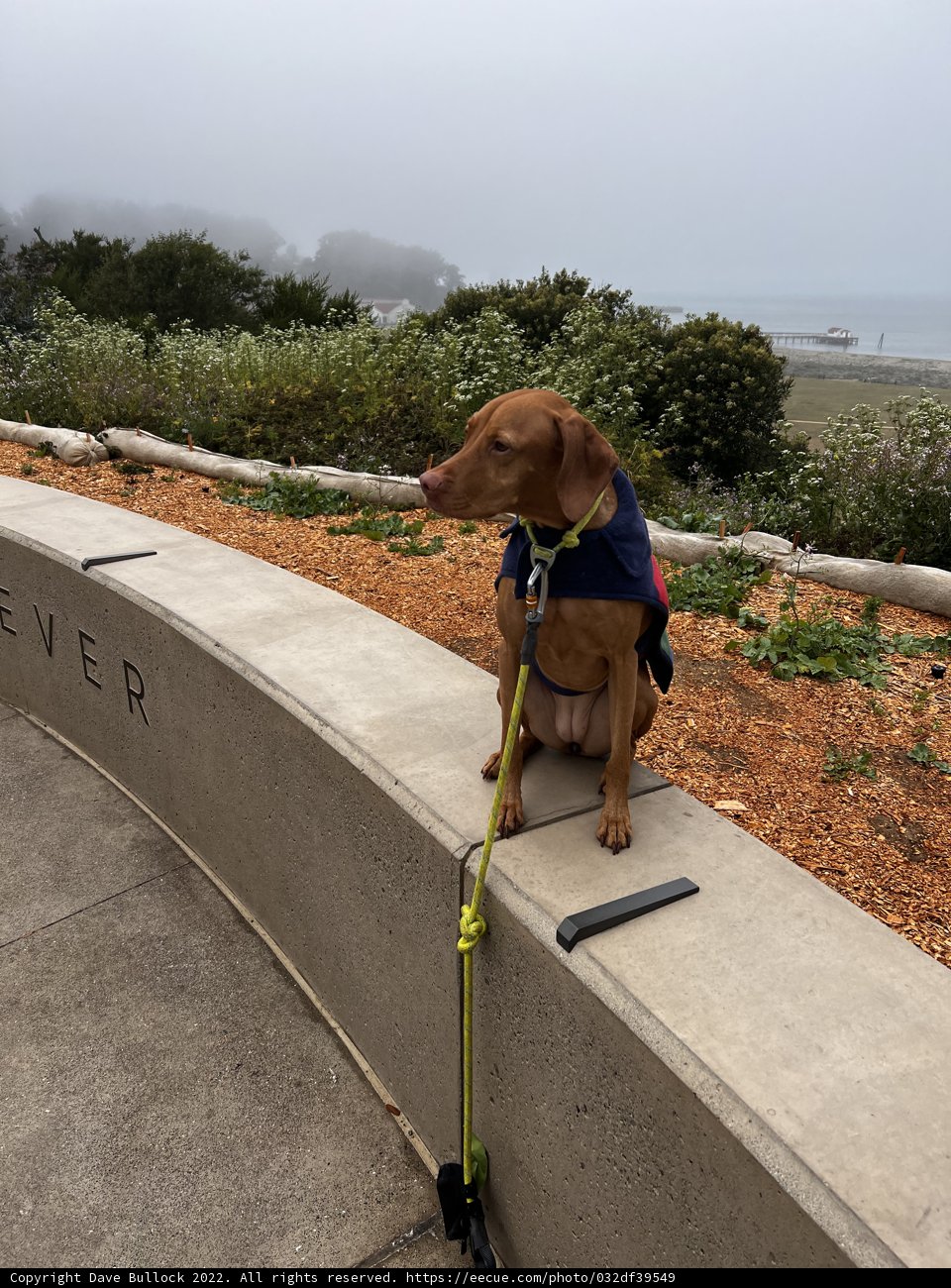 Out for a Walk