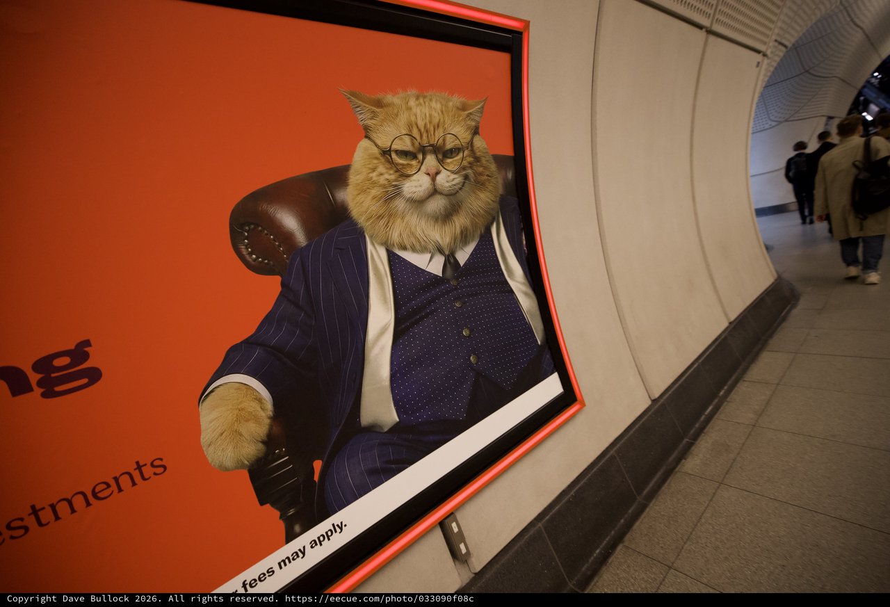 Humorous Cat in Business Suit Advertisement in London Underground