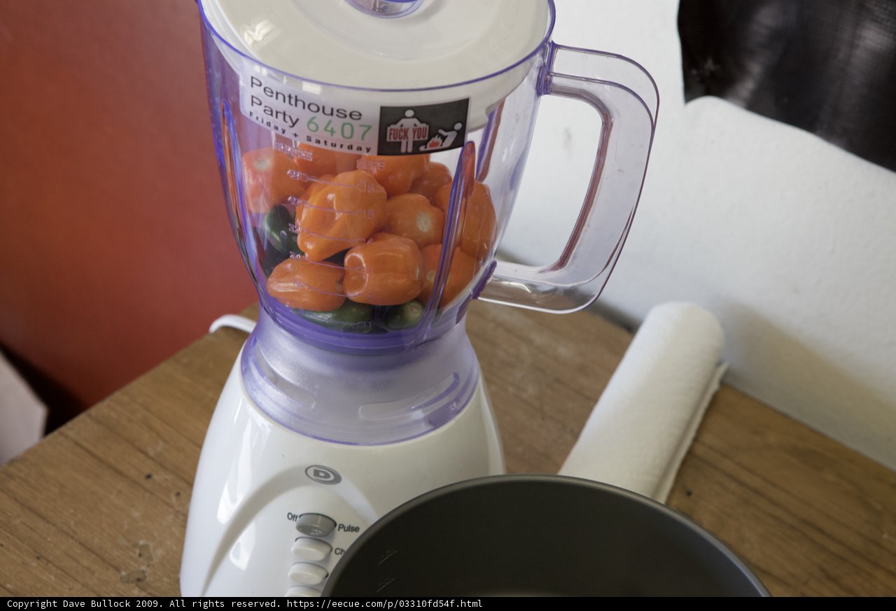 The Healthy Blend