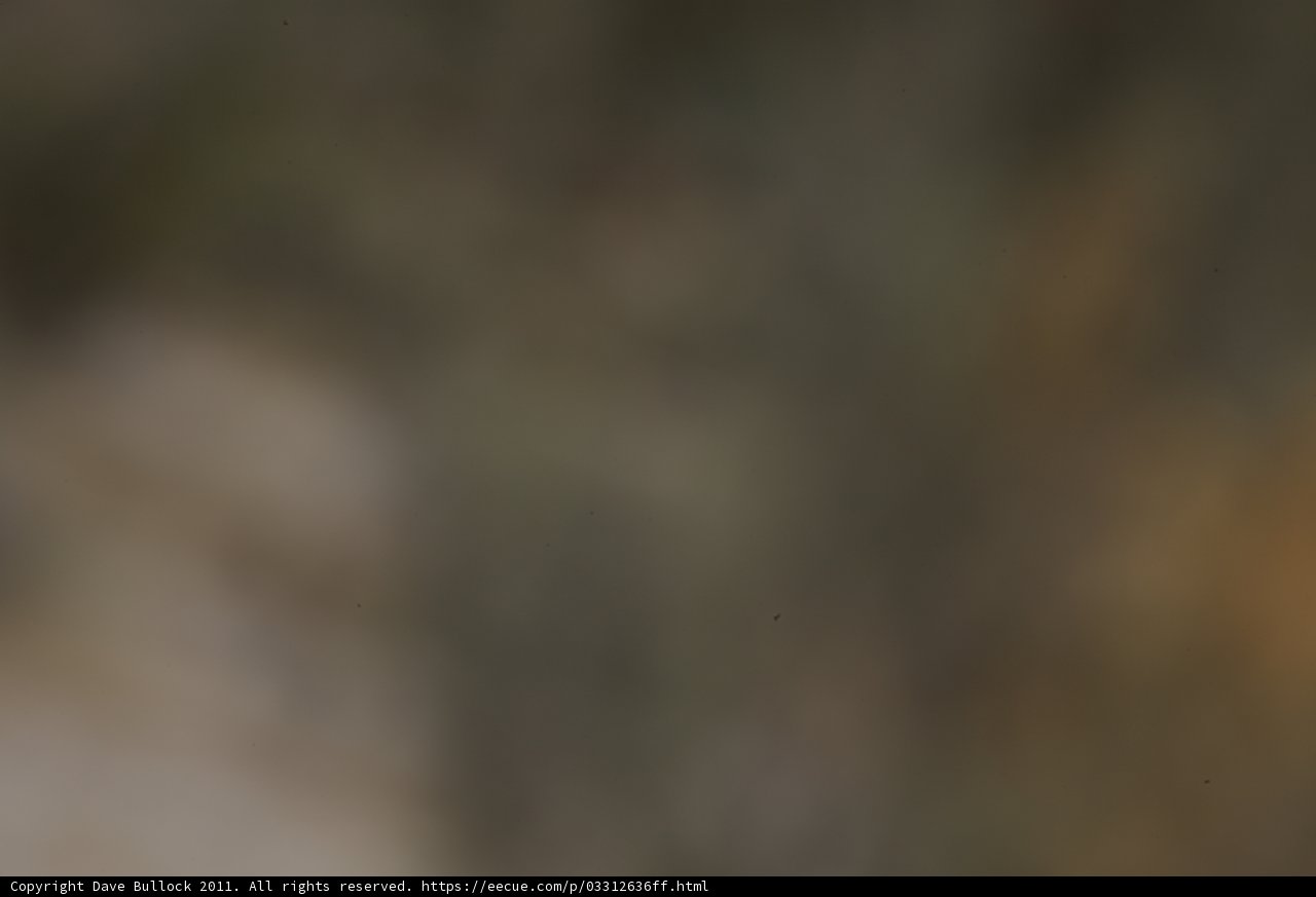 Blurred Bird in Flight