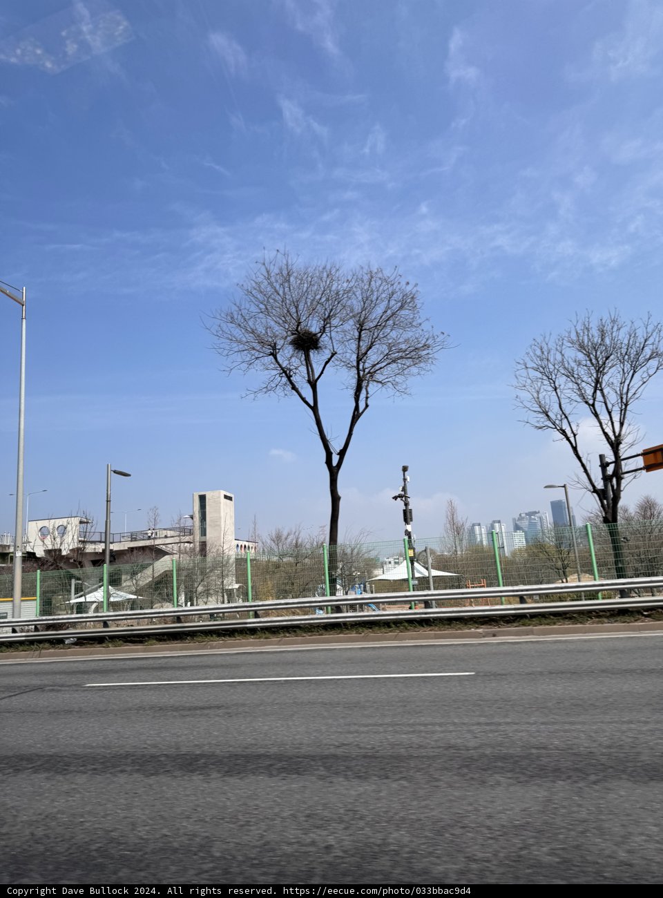 The Harmony of Concrete and Green: A Street in Seoul