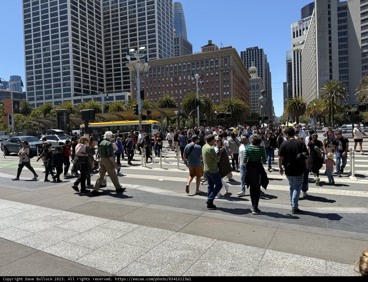 Urban Harmony: A Day in San Francisco