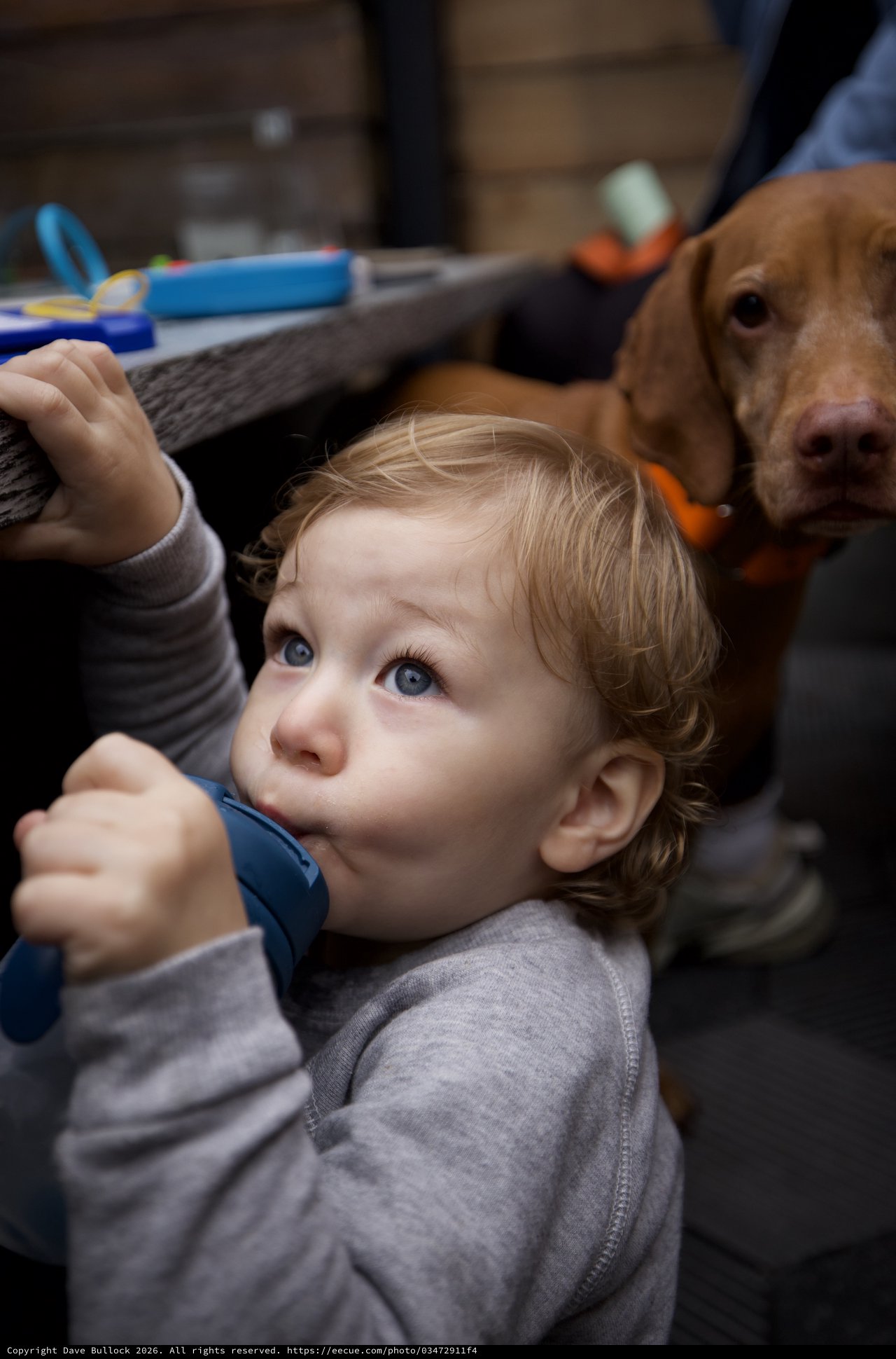 Child and Therapy Dog Share Tender Moment During Session