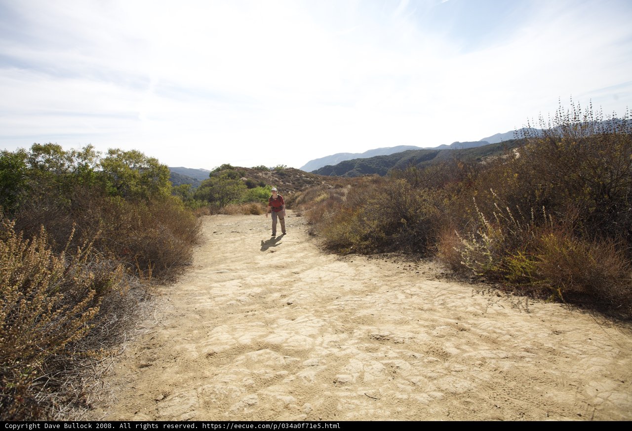 Skateboarding Through the Wilderness