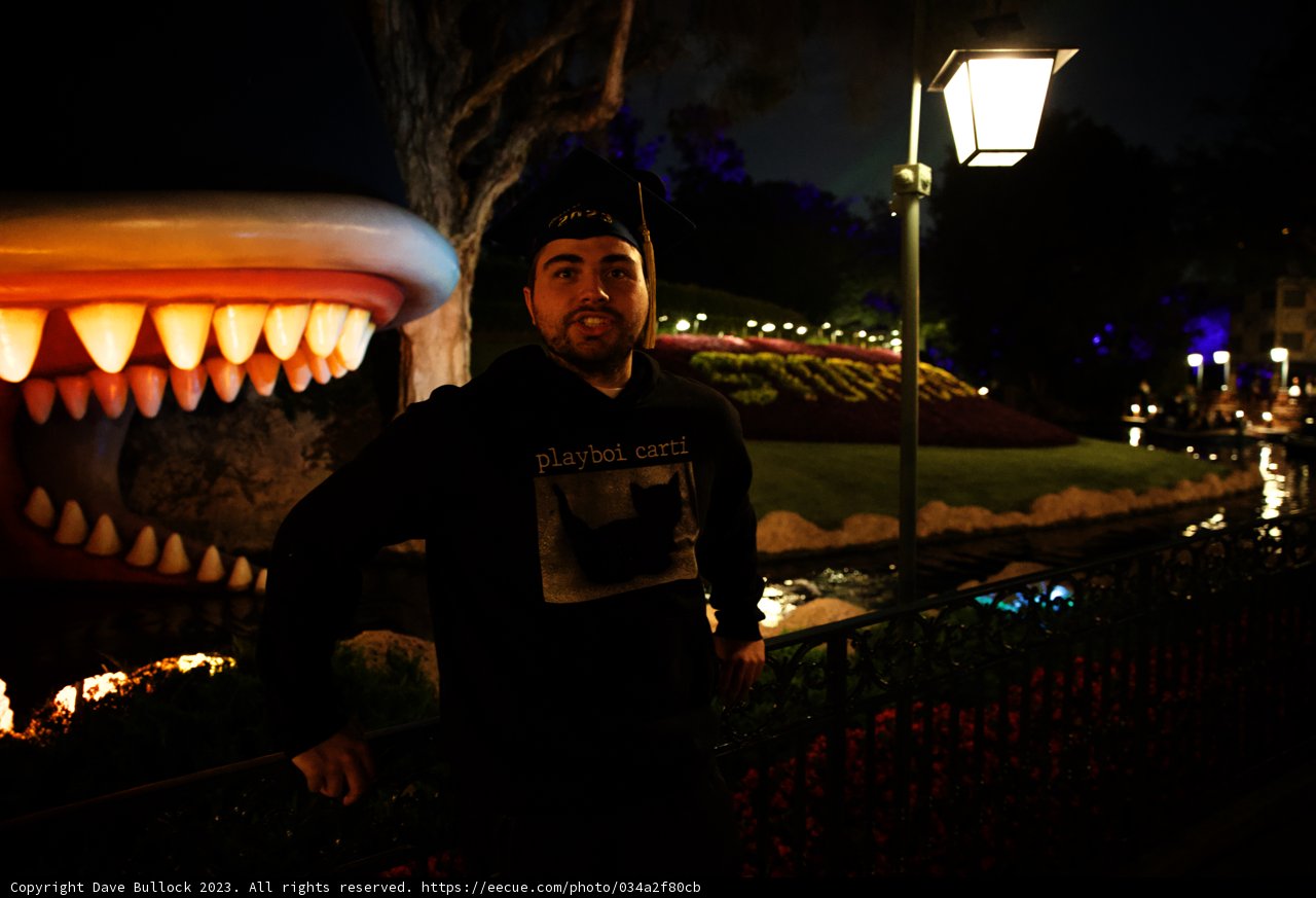 A Thrilling Encounter at Disneyland