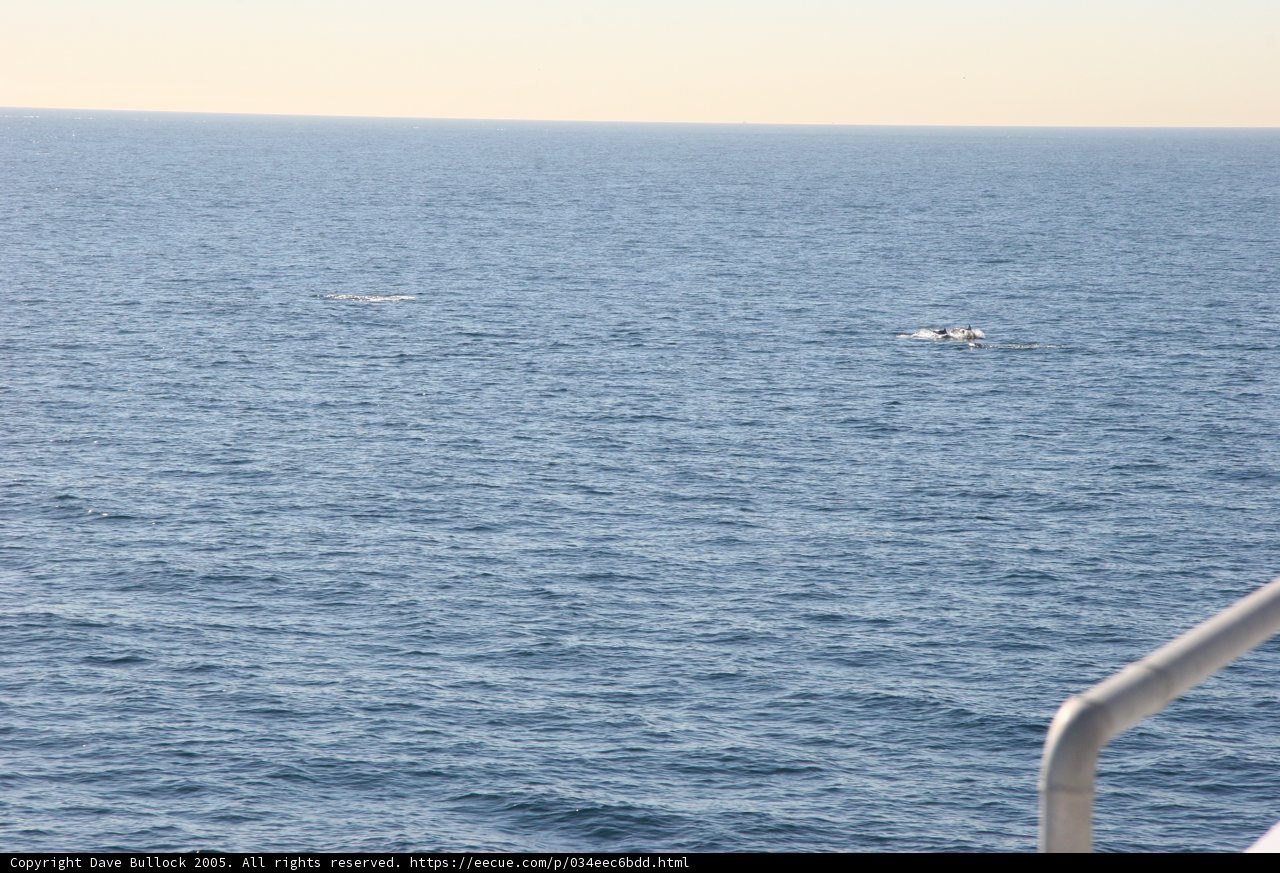 Sailboat and Ship at Sea