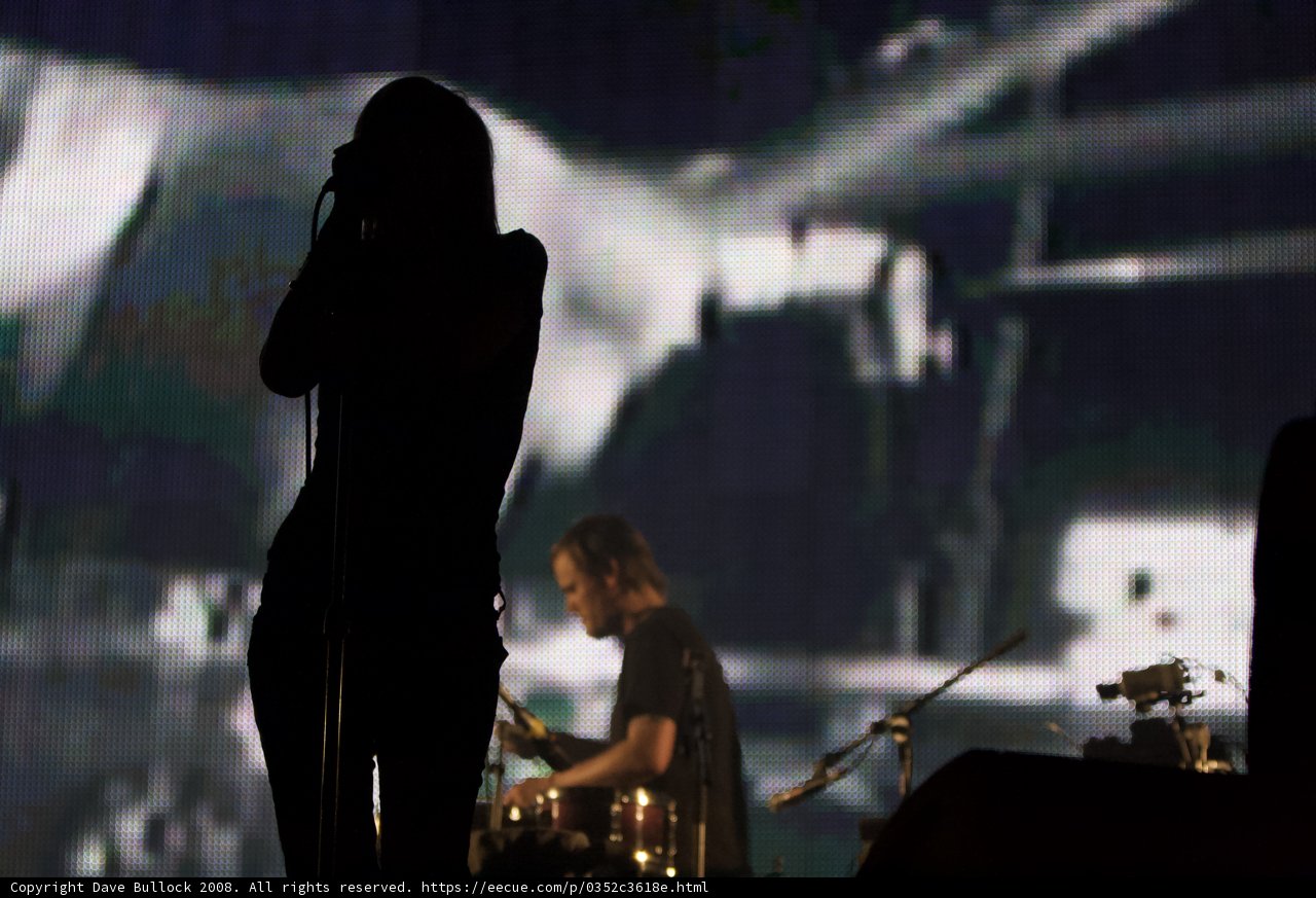 Coachella Concert Performance