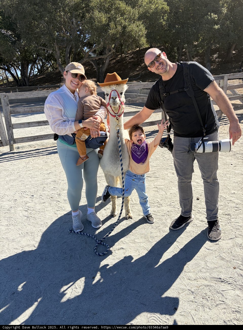 A Day at the Carmel Valley Park