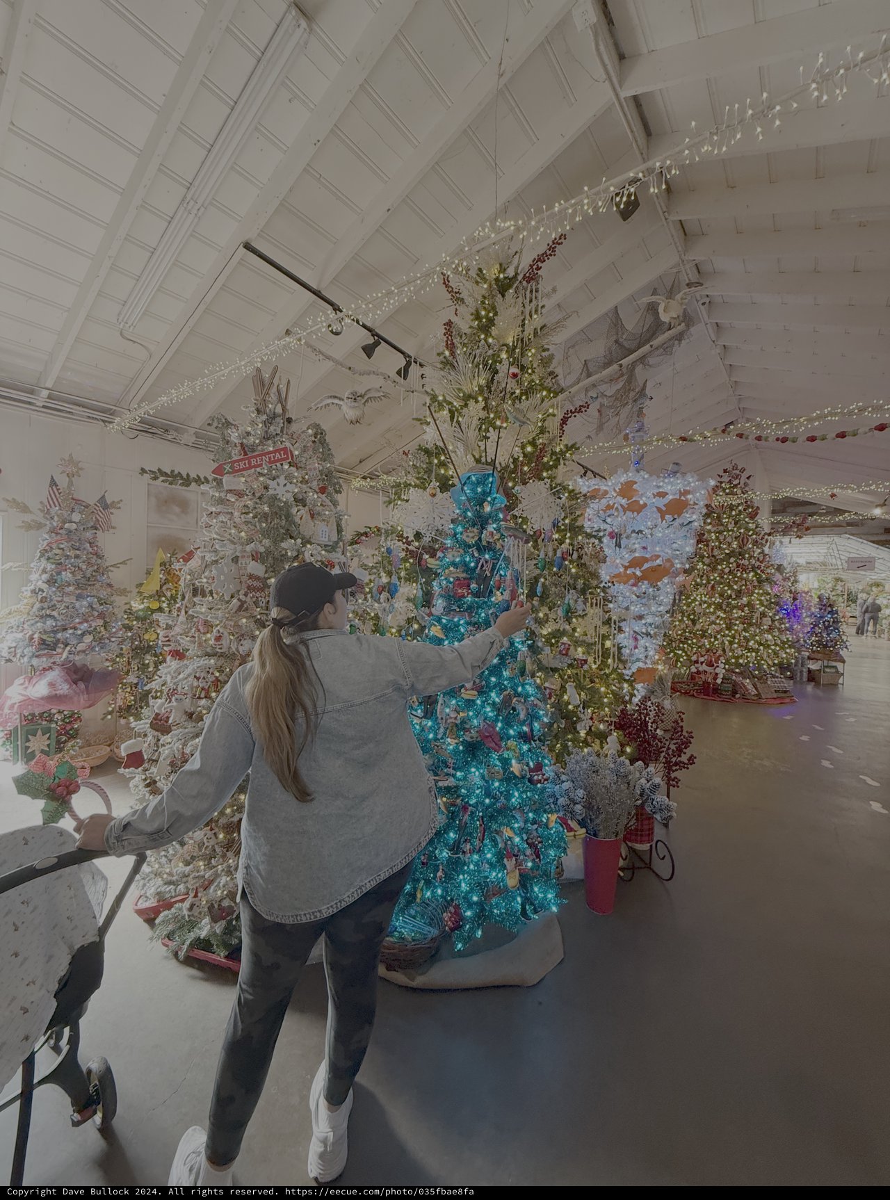 Woman Decorating Bright Turquoise Christmas Tree Display