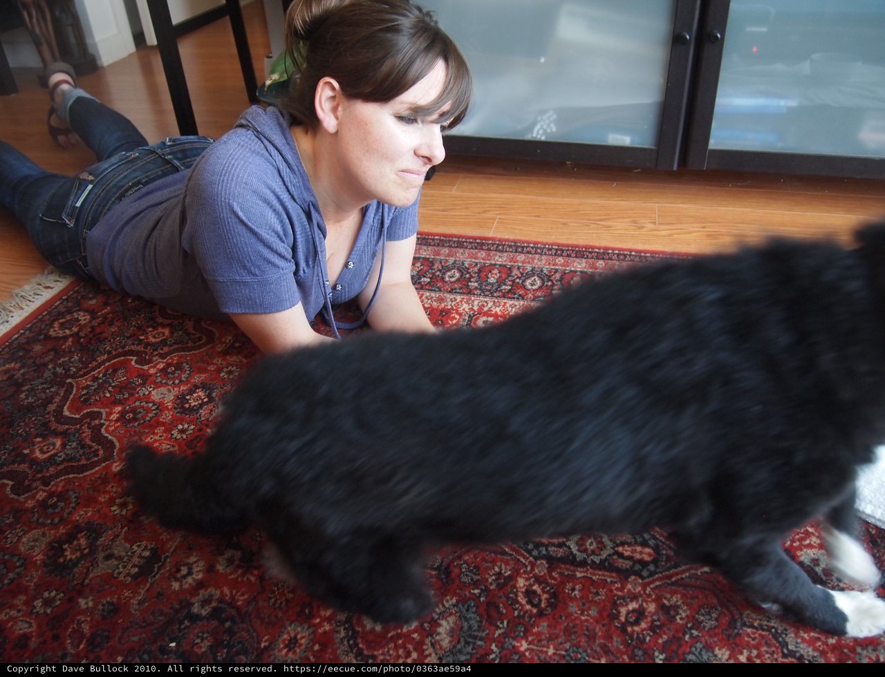 Woman Connects with Black Cat on Persian Rug