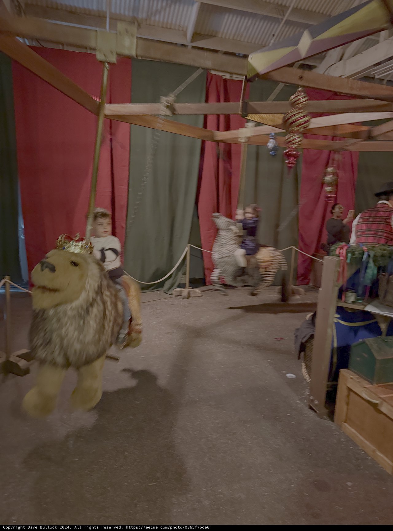 Whimsical Indoor Adventure Playground with Lion Costume
