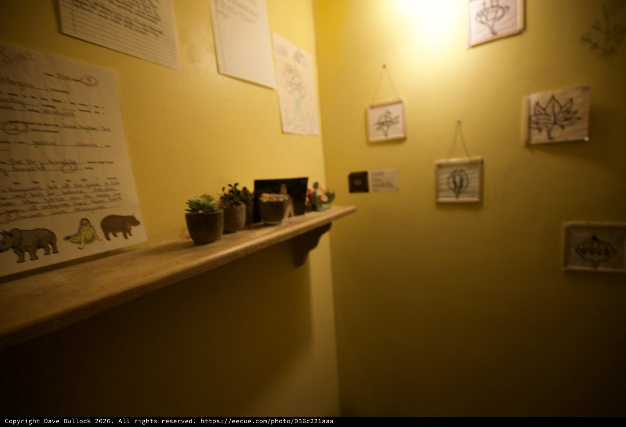 Educational Exhibit Corner with Botanical and Wildlife Illustrations