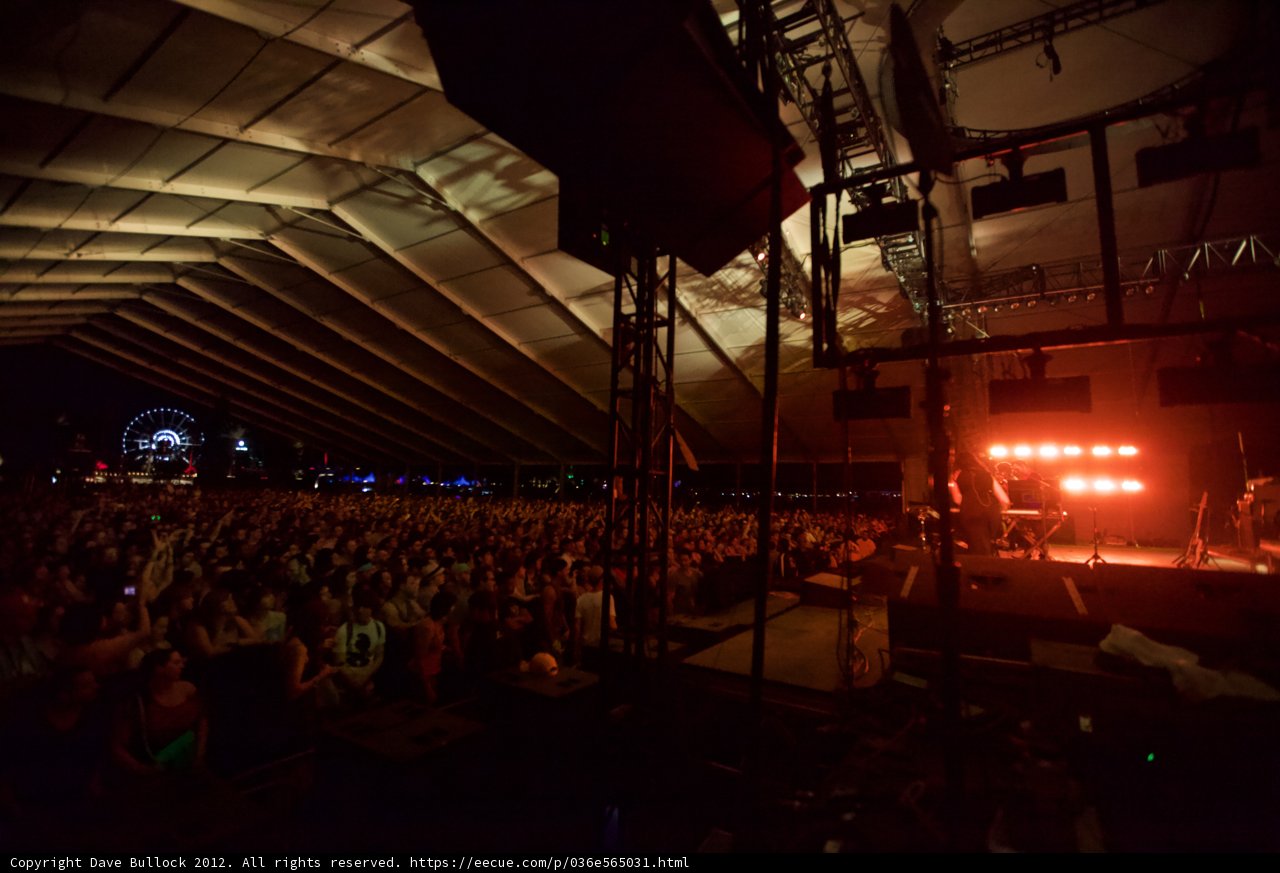 The Electric Crowd at Coachella 2012