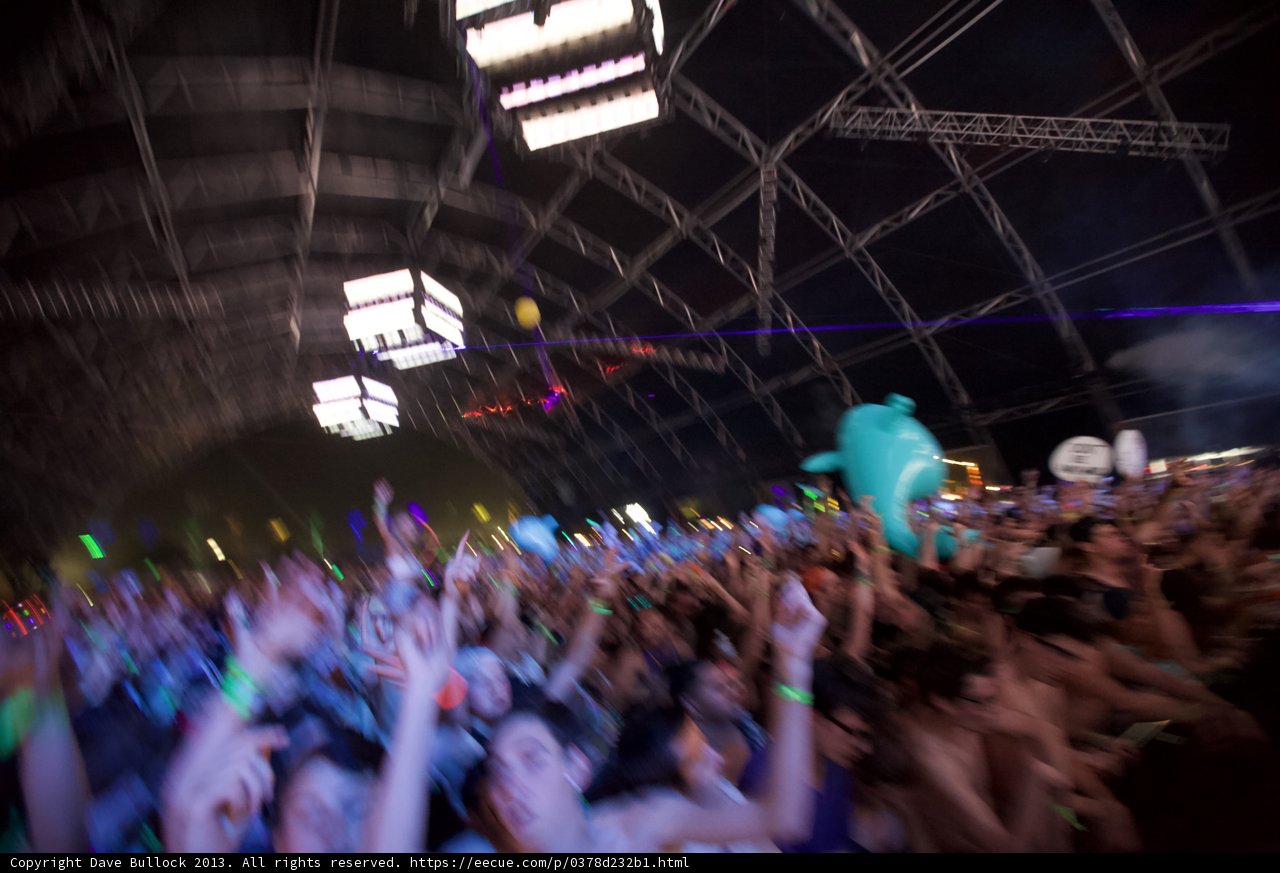 Electric Crowd at Coachella