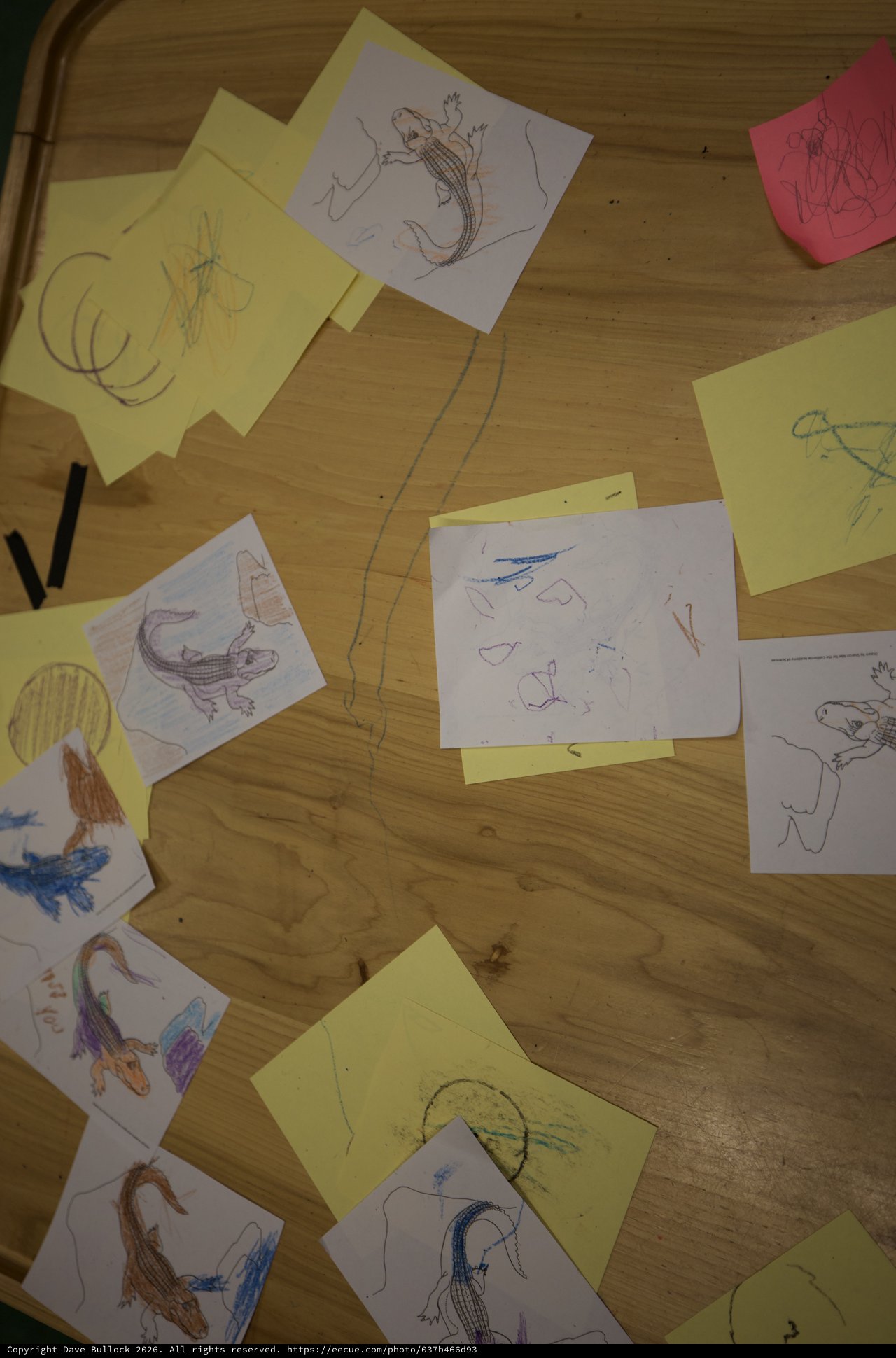 Children's Reptile Drawing Collection Scattered on Wooden Table