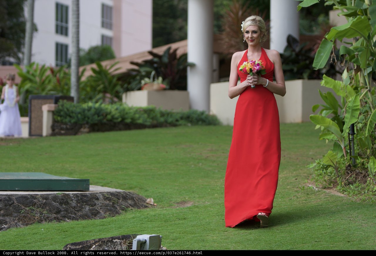 The Lady in Red among the Greenery