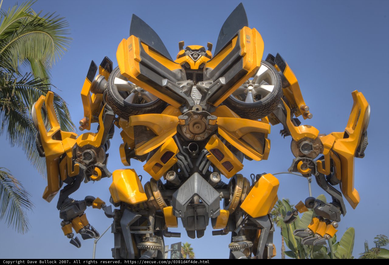 Bumblebee in the Palm Trees