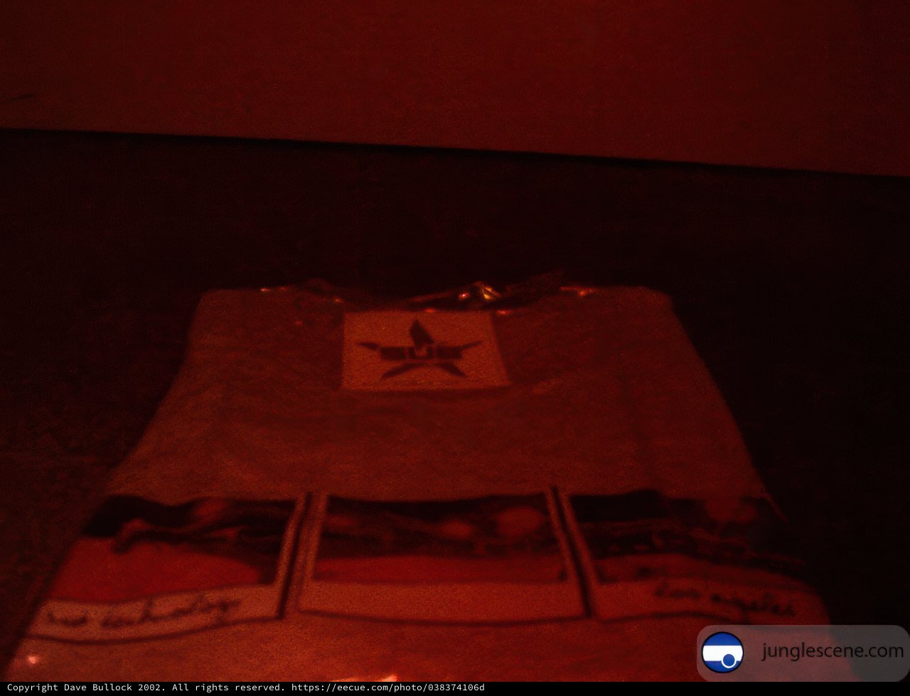 Illuminated T-Shirt