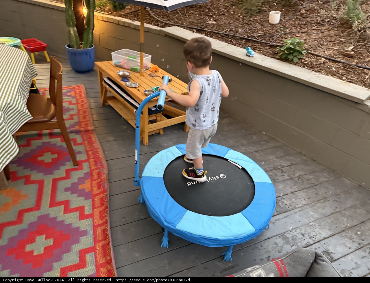 Backyard Bounce