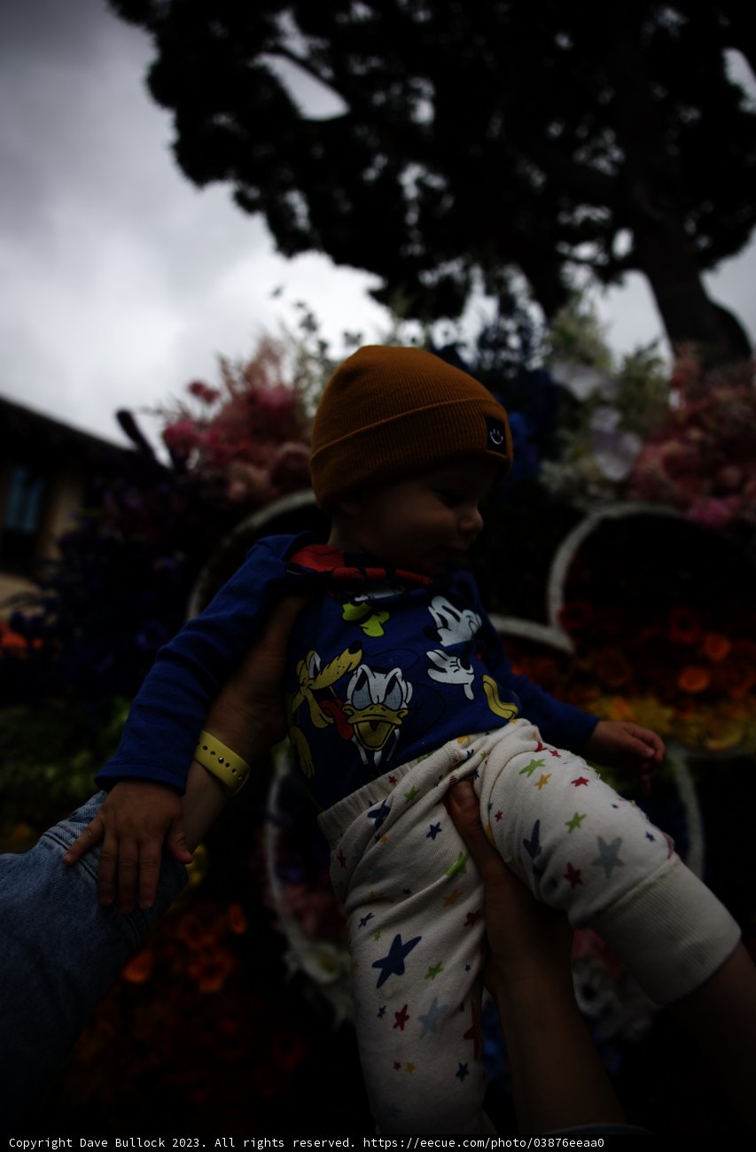Blooming Bond at Disneyland