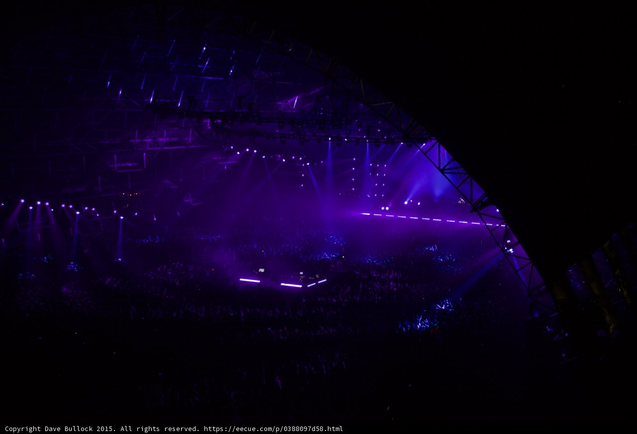 Purple Haze Performance