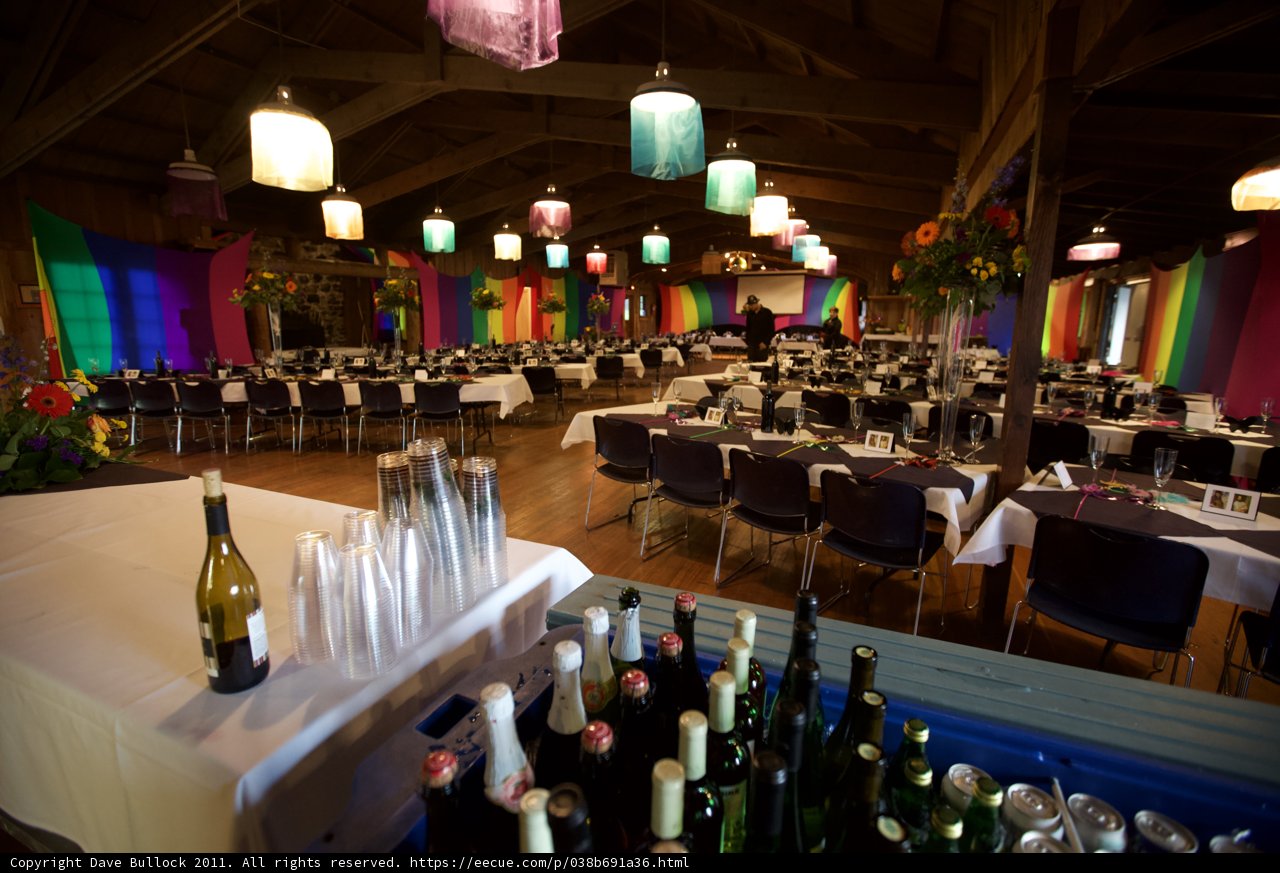 A Lively and Luxurious Reception Room